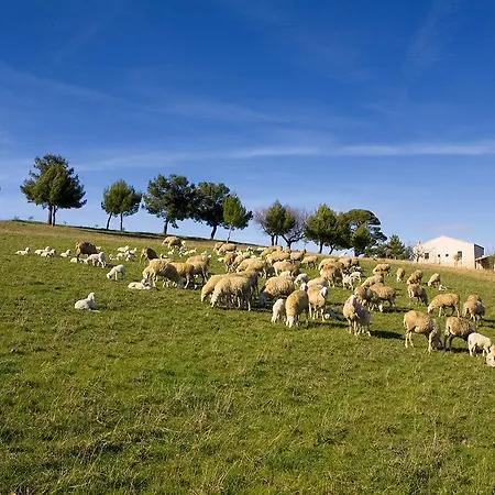 Casa di campagna Pollinaria