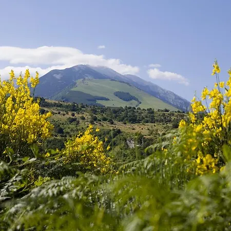 Casa di campagna Pollinaria *