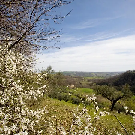 Casa di campagna Pollinaria *